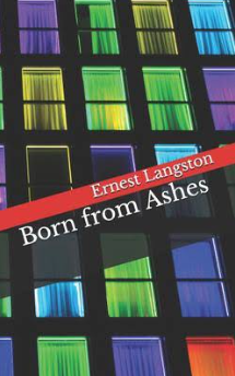 Born from Ashes Novel